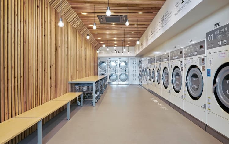 Proven Success with 50+ Entrepreneurs